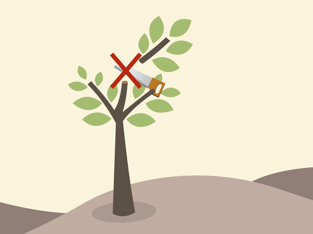Post-pruning techniques in decision tree | by Z² Little | Medium
